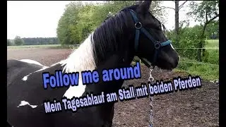 Mein Tagesablauf am Stall + beide Pferde ❤🐎 | FMA
