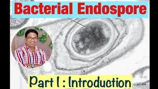 Bacterial Endospore formation: Introduction (Part I)