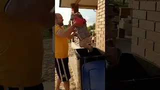 Дети играют в прятки 
