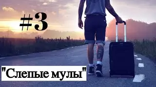 АДВОКАТ 