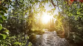 HIKE & PHOTOGRAPHY around a mini waterfall in Lapland