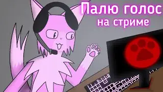 Палю голос на стриме