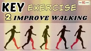 Strengthen Your Legs & Improve Confidence On Your Feet - Multiple Sclerosis Exercise