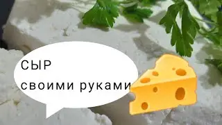 СЫР НАТУРАЛЬНЫЙ 🧀 из 3х ингредиентов #сыр #сыроделие #бутер #сырок #готовимдома #вкусно #полезно