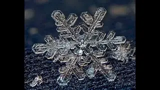 Если снежинка не растает