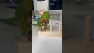НЕ СМОТРИ ЭТО❌ Умрёшь от милоты🥰🦜