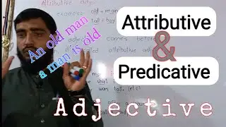 Position of adjective| Attributive and predicative adjective | |Types of adjective |