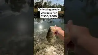 Largemouth bass fishing