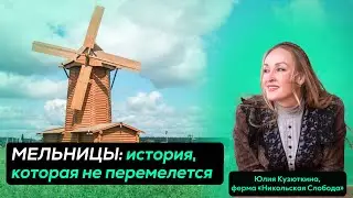 ВЕТРЯНЫЕ МЕЛЬНИЦЫ: почему их почти не осталось?