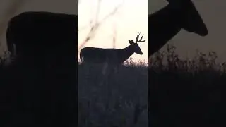 FULL VIDEO on our Channel. 