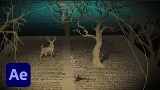 After Effects CC: What's New | Adobe Creative Cloud