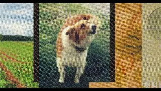 CMYK Separation in Photoshop for Silkscreen