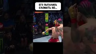 😳Сотворил сенсацию! О’Мэлли vs Двалишвили 