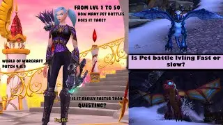 Lvling with pet battles? Fast or slow?