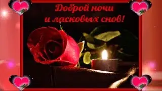 Спокойной ночи, любимая моя!