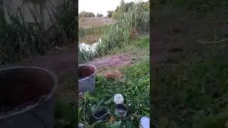 андатра на рыбалке