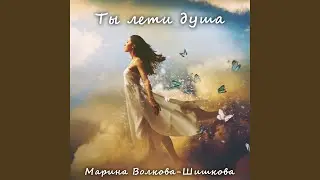 Ты лети душа
