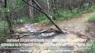 Источник Хаста-баш разбушевался. Ялта. Крым