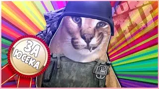 Они лучшие из худших в Escape from Tarkov | Монтаж Тарков
