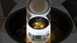 Is this rice cooker hack by 