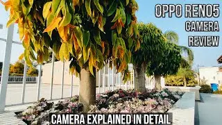 Oppo Reno 5 Camera Review | The Camera Beast 🔥🔥🔥 | All Camera Features Explained!