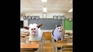茸茸鼠上台語課🐐🐱 #vtuber  #猫ミーム  #catmemes