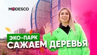 IT-компания Модеско сажает парк в пойме Царицы в Волгограде: рассказываем про большой субботник 🌳