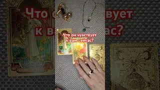 Расклады на суженого. Пишите на +79028211577 #любовьесть