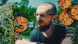 Cannabis Cookies (Canna-cookies)
