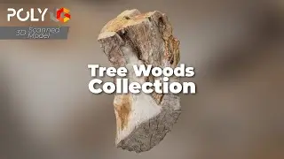3D Scanned Tree Woods Collection | Cutted Trunks, Dead Bark & Branches | PBR Assets for Games & VFX