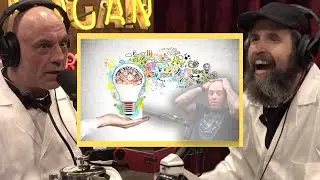 Joe Rogan On The Insanity Of IDEAS!
