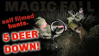 OUR MAGIC FALL 5 BIG DEER DOWN in Minnesota! (self filmed hunts)