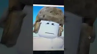 Скала роблокс мем