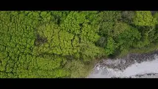 Woodland
