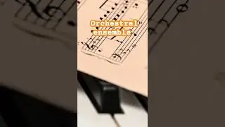 orchestral ensemble #shortsfeed #guitar #bluesscale #musicgenre #love #music #blues #musicstyle