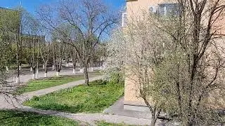 3 місяць