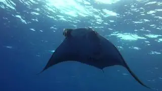 Где-то в Красном море