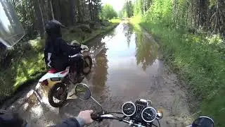 В ДАЛЬНЯК НА АЛЬФЕ!? ДА ОН ДИКО СУМАШЕДШИЙ..
