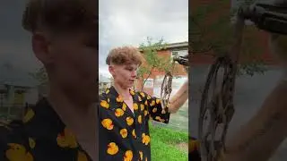 Деревенские будни 🏡 Страусы превышают скорость 😃А у вас есть такой угол с вещами  «пригодится» ?
