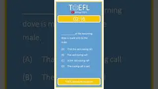 TOEFL Grammar Practice 