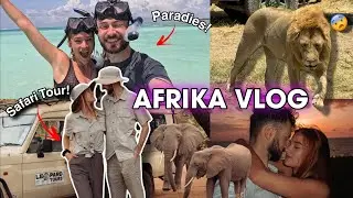 WIR MACHEN eine SAFARI in AFRIKA! 😍 Tansania & Sansibar VLOG 😳🌴 | stineundmarc