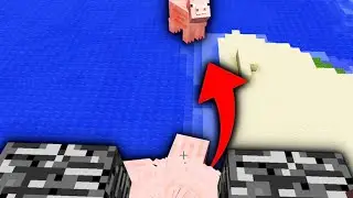 Pig shot