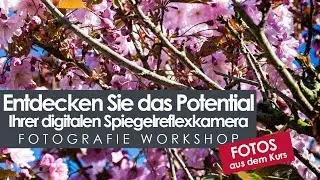 Workshop Fotografie