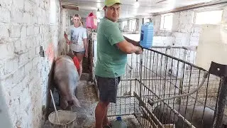 Поменяли местами. Поставил поилки.