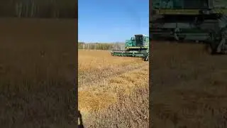 Бессмертный Дон-1500