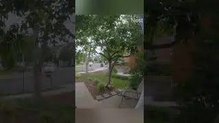 Neighbors Almost Destroy 2 Garages #Neighbors #Driver #CarCrash