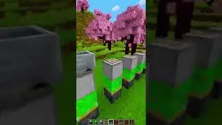 не реально красивый лайфхак в майнкрафт от меня #minecraft #fixboy #tiktok #shorts