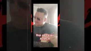 #Вор да палач#АлисА#cover#
