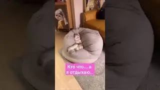 ура, выходные! #юмор