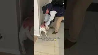 Когда хочется нежности, а собака хочет спать🤣Все равно, любовь у них большая❤️ 